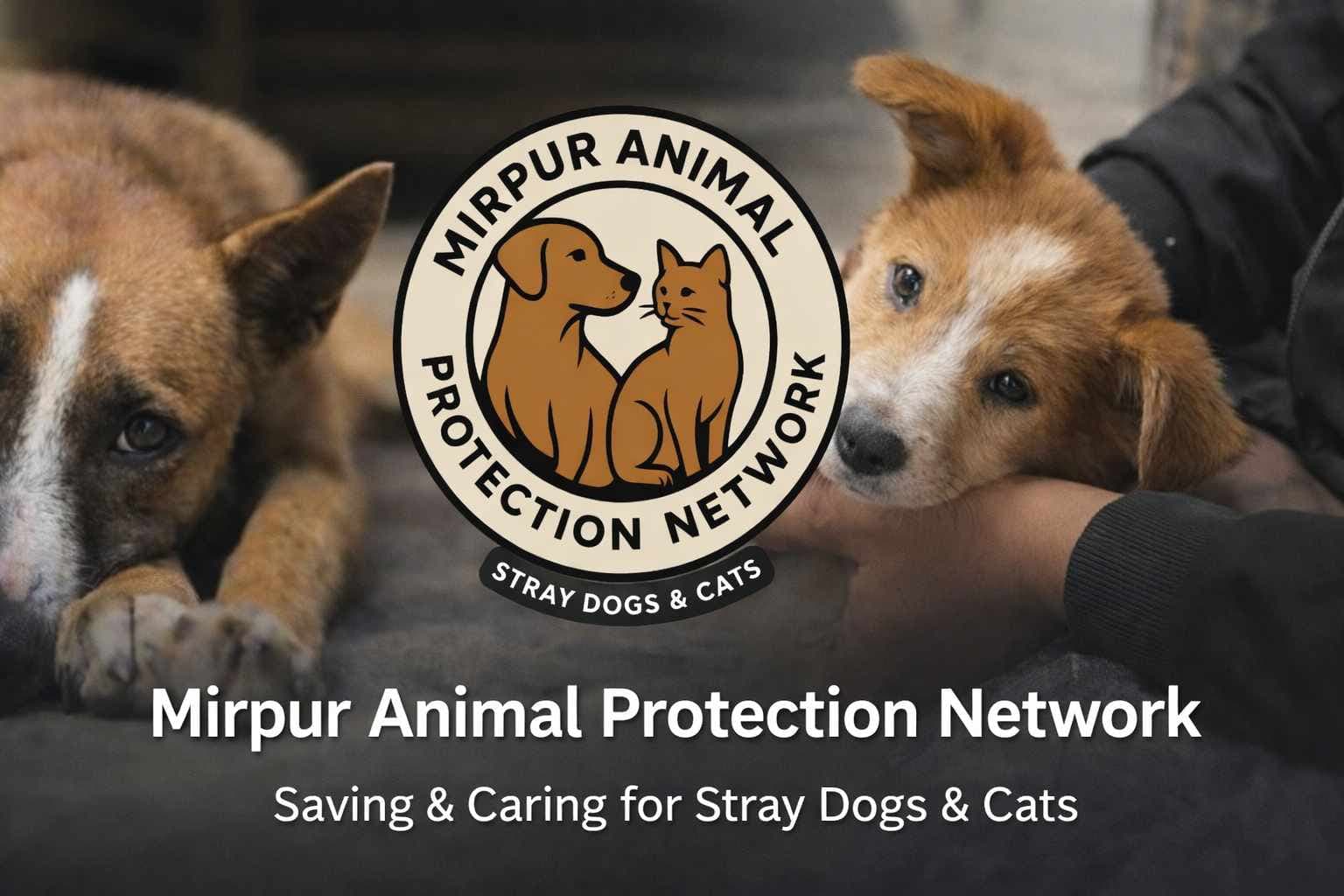 MAPN volunteers with a rescued animal