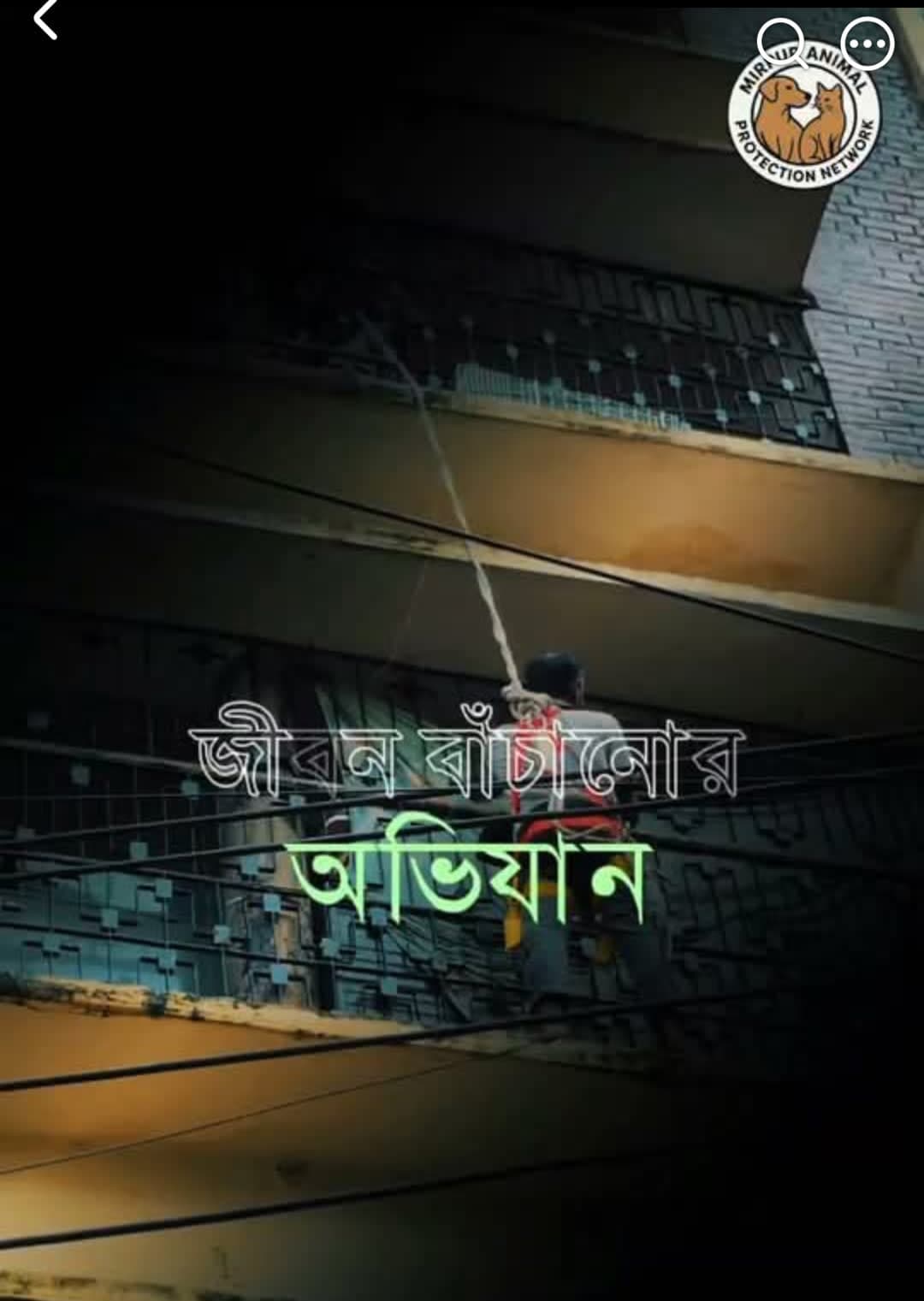 বিড়াল উদ্ধার অভিযান — gallery image 1